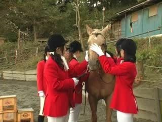 Nippon's Horniest Stable Fuck - 18+ Japan Porn Tube